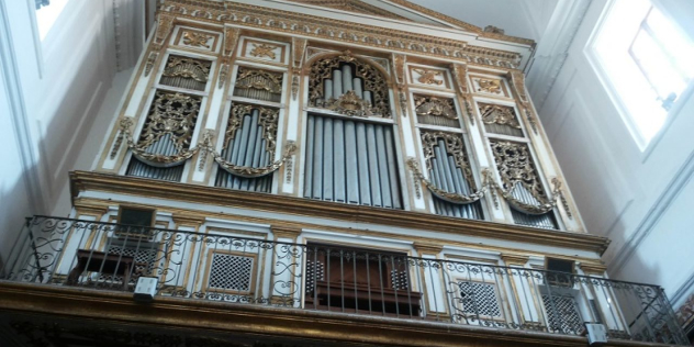 OrganoSanMartino OrganoSanMartino